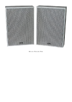 Revox Piccolo-Flat-Article 